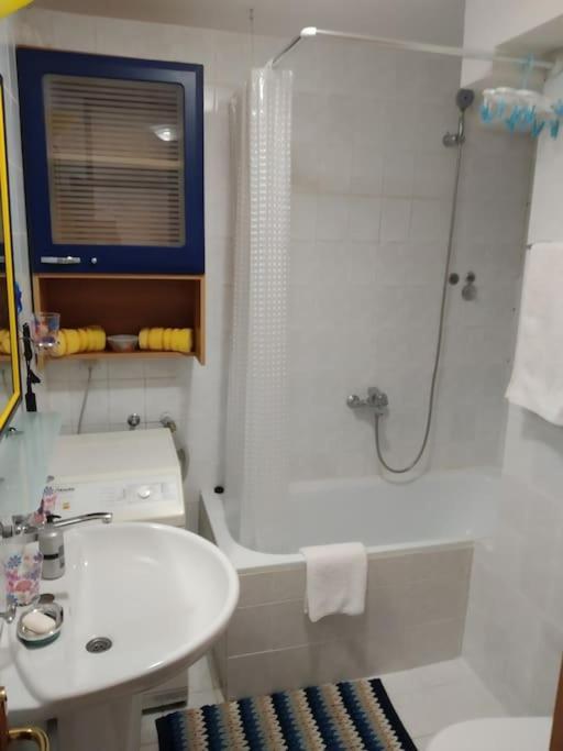 Alex Apartment Zemun Екстериор снимка