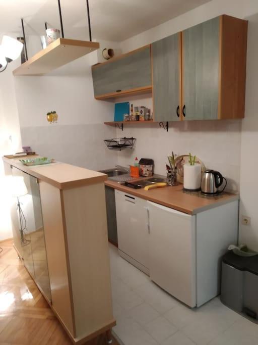 Alex Apartment Zemun Екстериор снимка